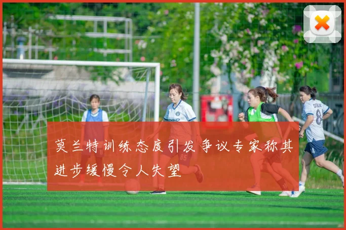莫兰特训练态度引发争议专家称其进步缓慢令人失望