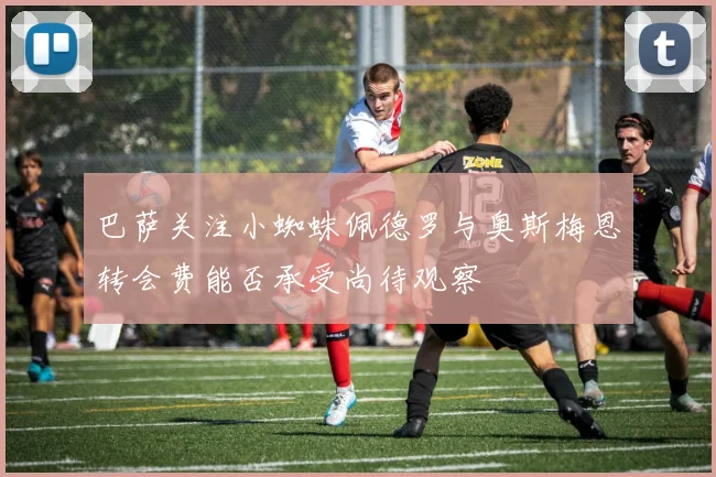 巴萨关注小蜘蛛佩德罗与奥斯梅恩转会费能否承受尚待观察