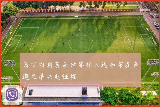 马丁内利喜获世界杯入选加布发声邀兄弟共赴征程